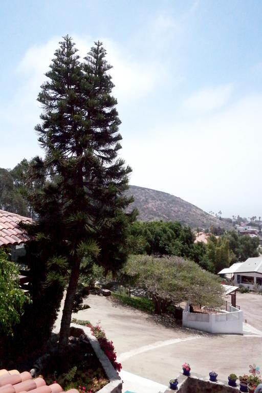 Quinta Los Arrayanes Hotell Ensenada Rom bilde