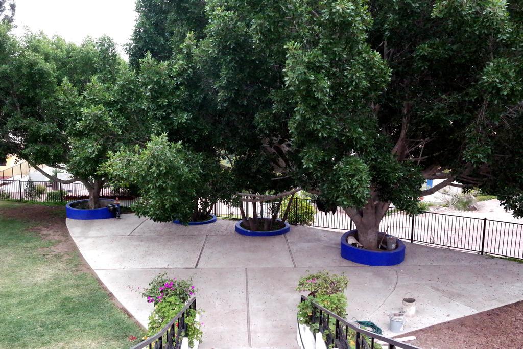 Quinta Los Arrayanes Hotell Ensenada Eksteriør bilde